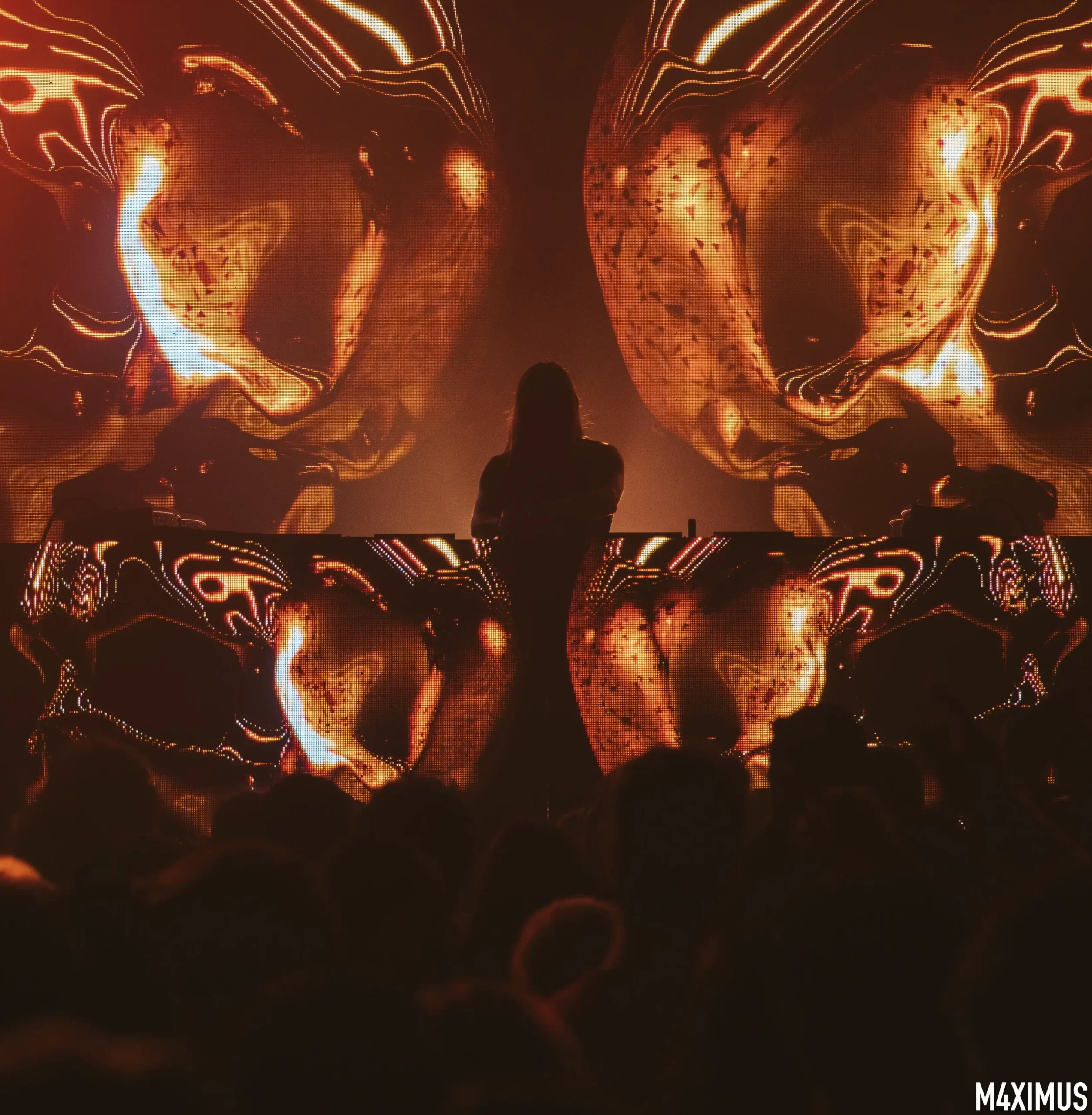 seven lions