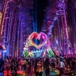 electric forest