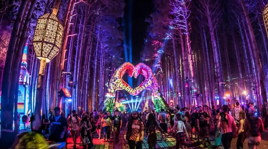 electric forest