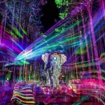 electric forest