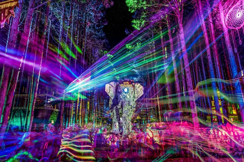 electric forest