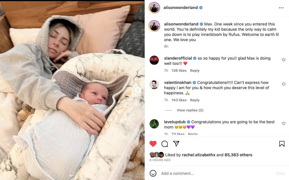 alison wonderland baby max announcement