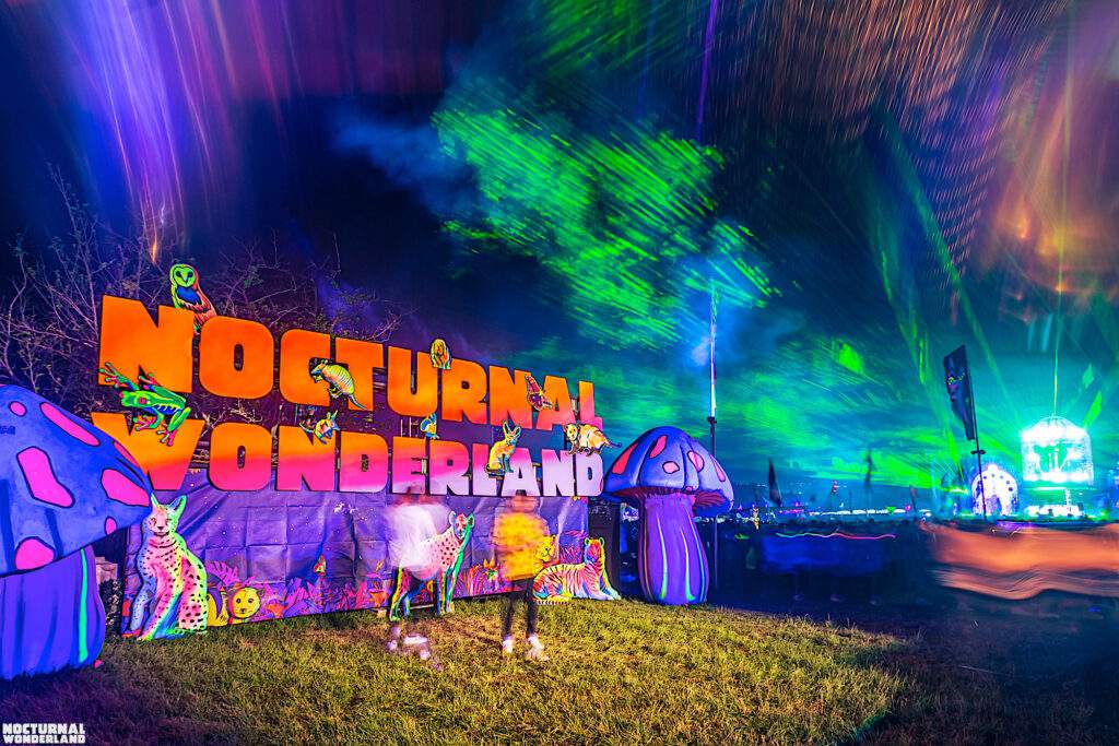 Nocturnal Wonderland