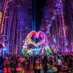 electric forest