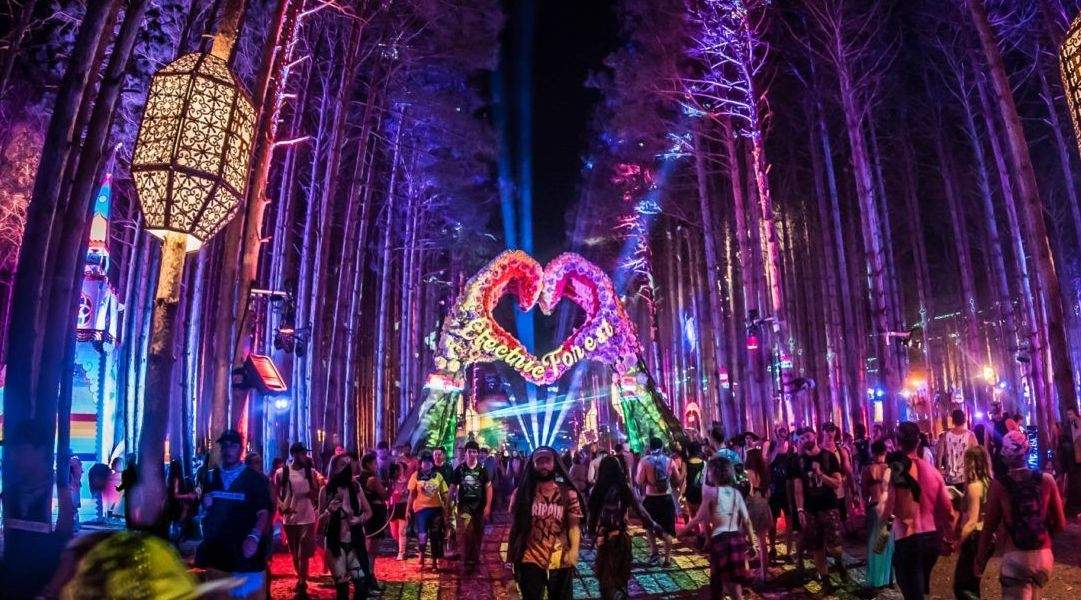 Electric FOREST Dropped 2024 Lineup with Cryptic Texts to Loyalty