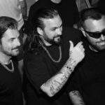 swedish house mafia parties