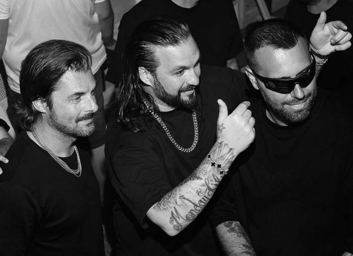 swedish house mafia parties