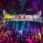 Electric Forest