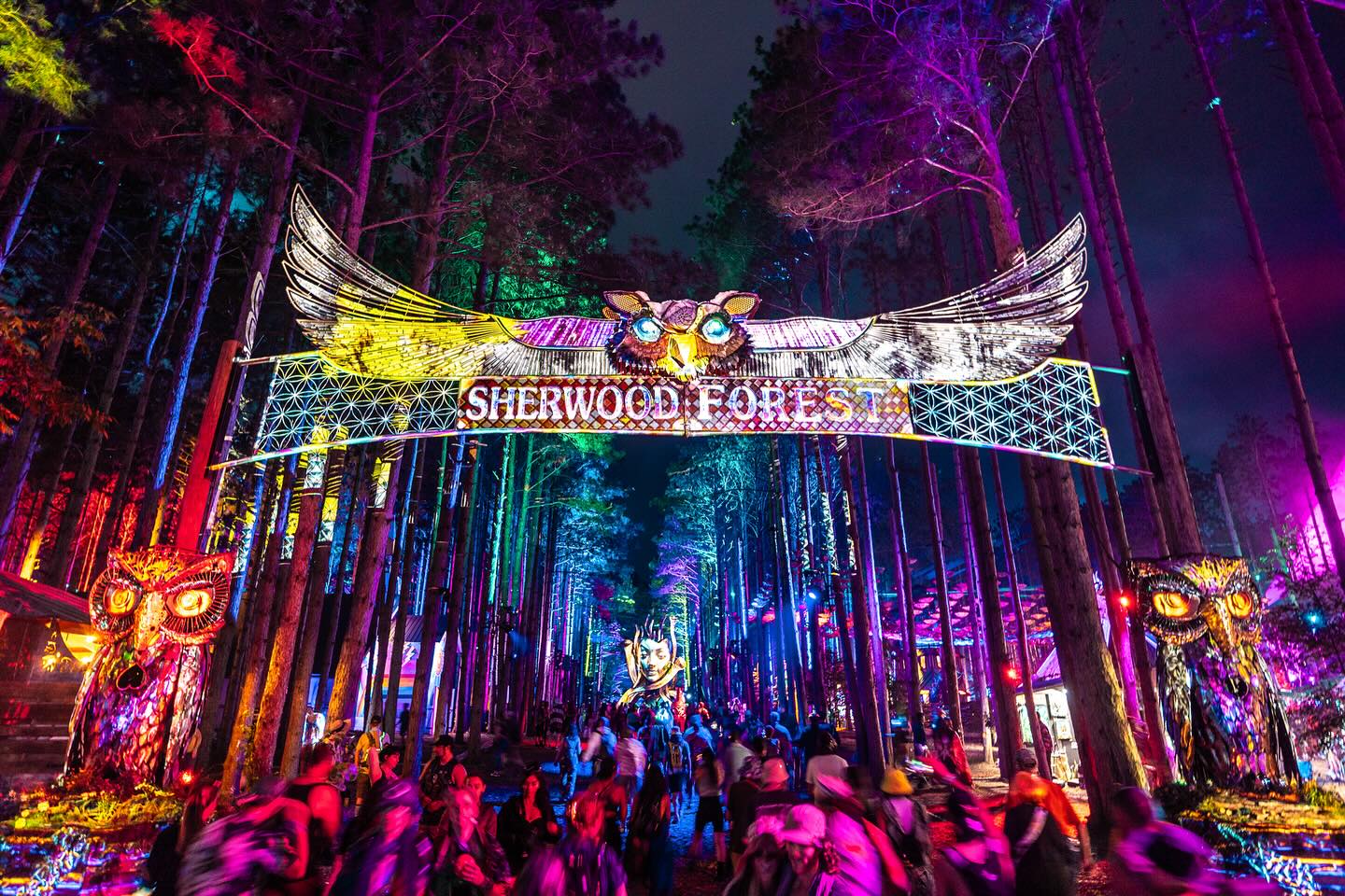 Electric Forest