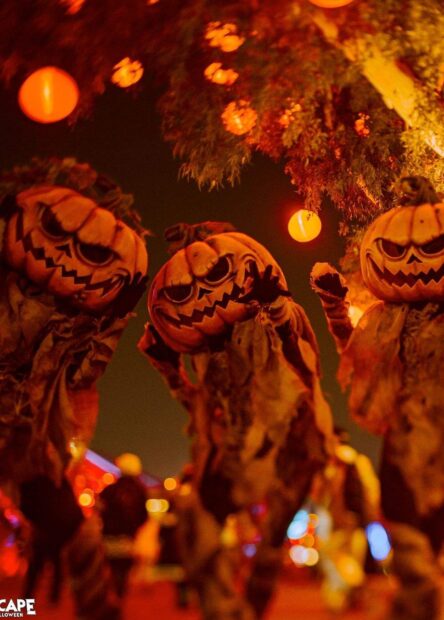 The Best Halloween Festivals to Attend in 2024