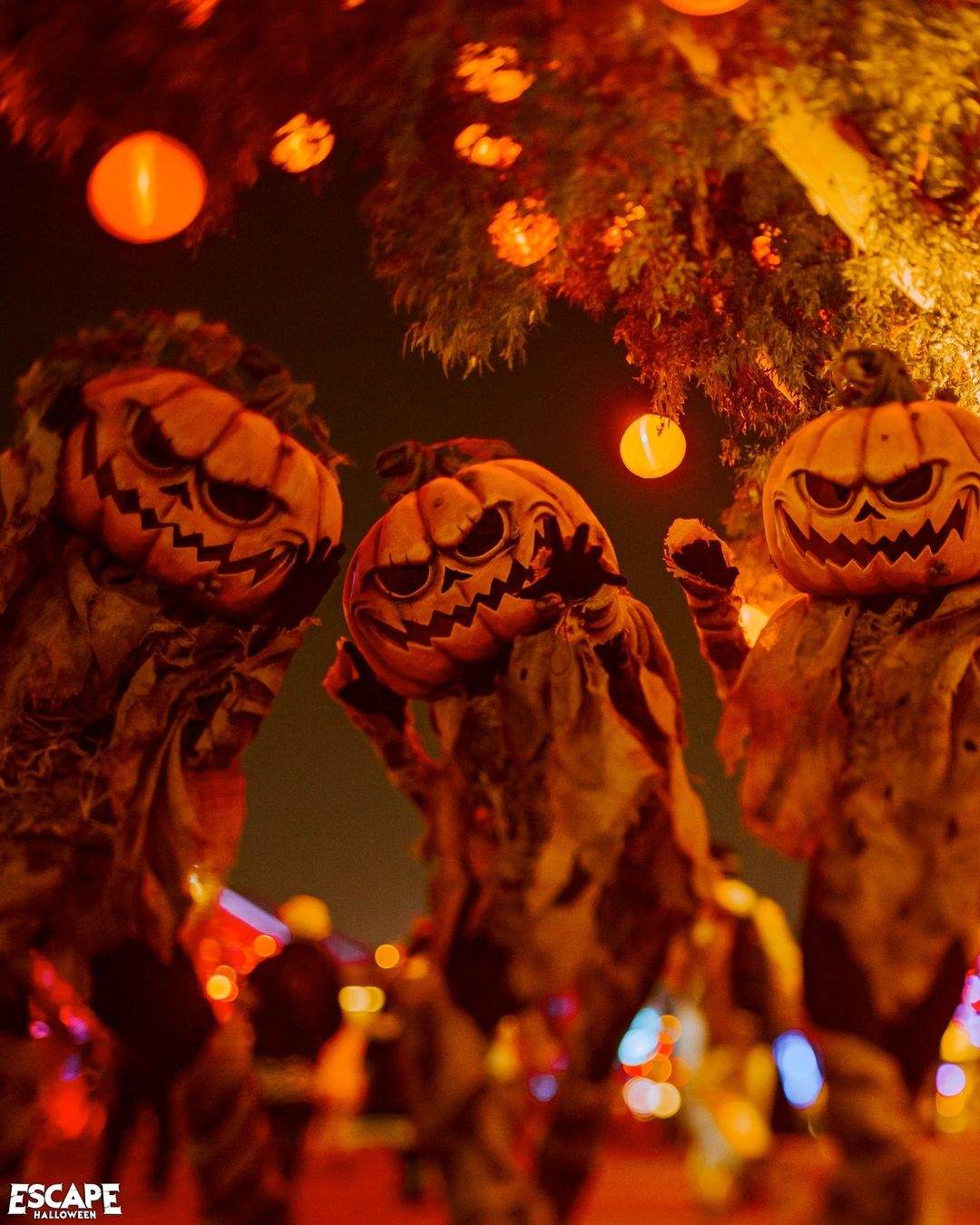 The Best Halloween Festivals to Attend in 2024