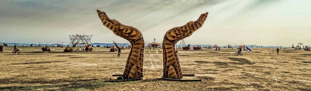 Burning Man donate