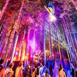 Electric Forest