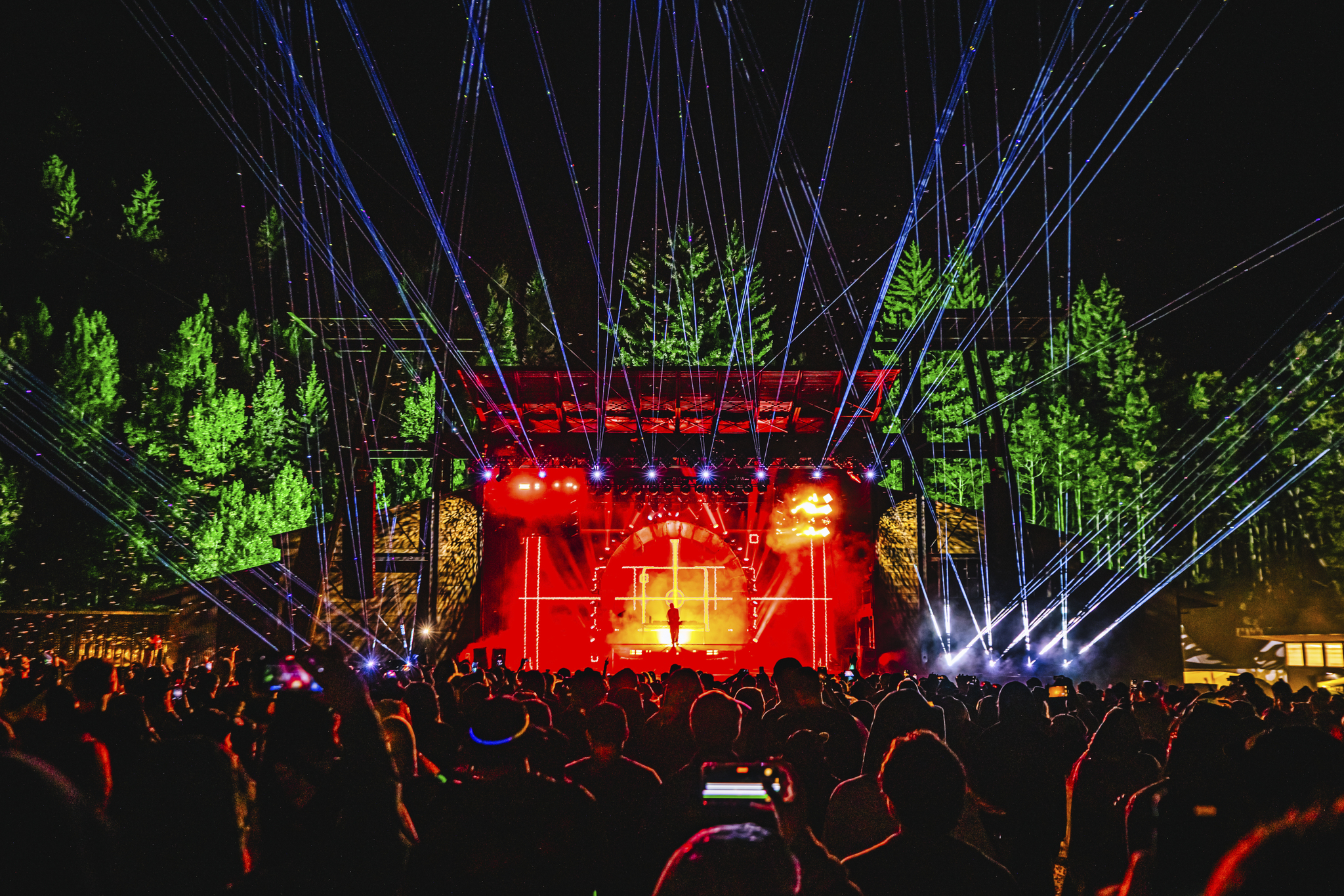 camp alderwild
