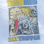 daytripper