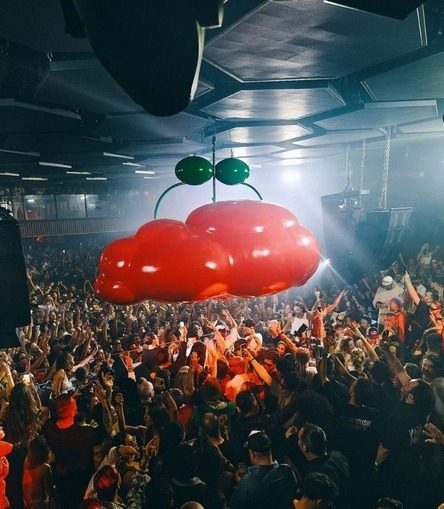 pacha liquor license